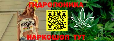 бошки Вязьма