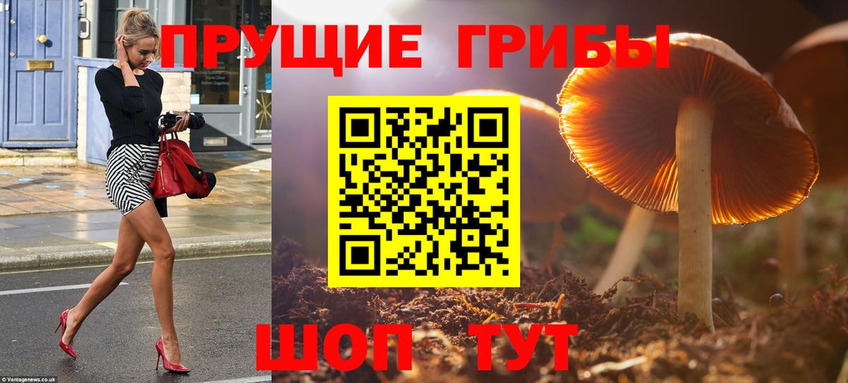 Галлюциногенные грибы GOLDEN TEACHER Алексин