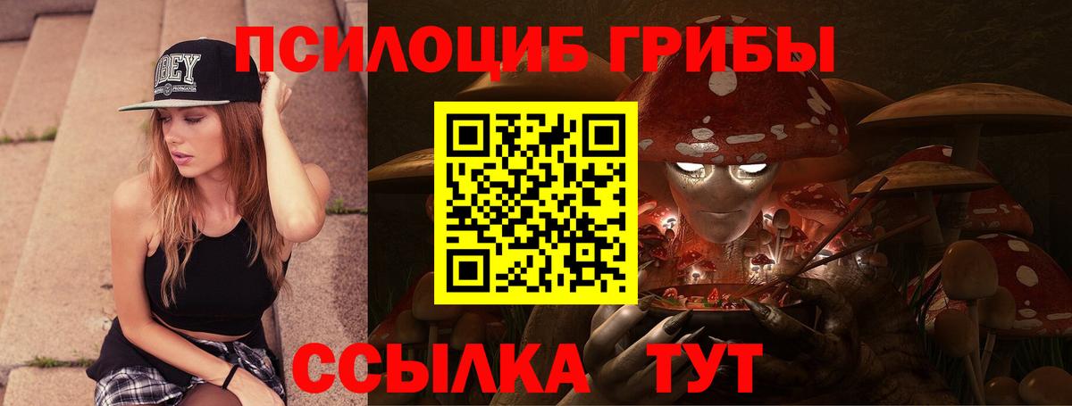 Алексин  Псилоцибиновые грибы мицелий  Галлюциногенные грибы MAGIC MUSHROOMS  Вход с VPN 